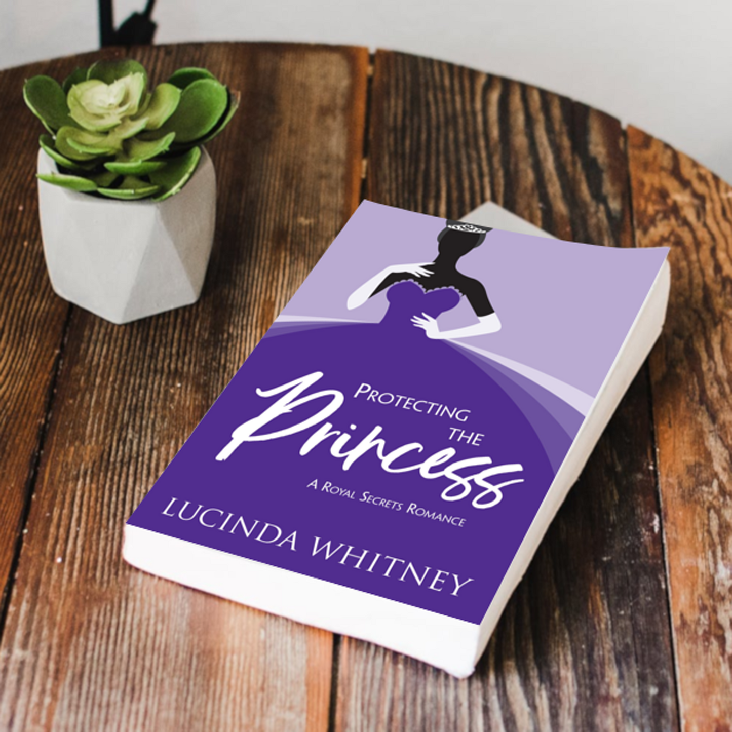 Protecting the Princess Paperback